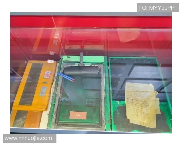 布拉泽的魅力探秘：从历史渊源到现代时尚的全景解读